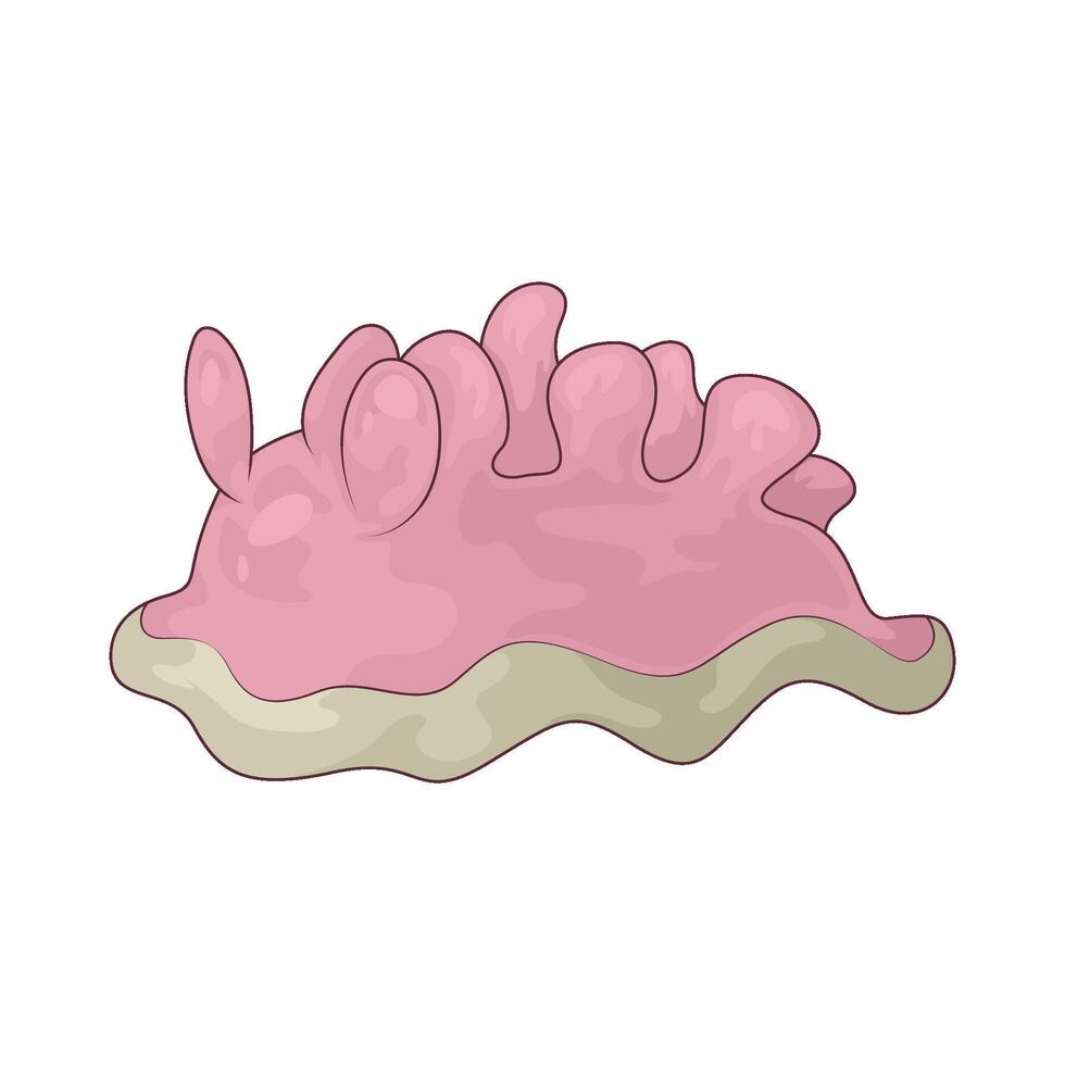 sea nudibranch illustration vector