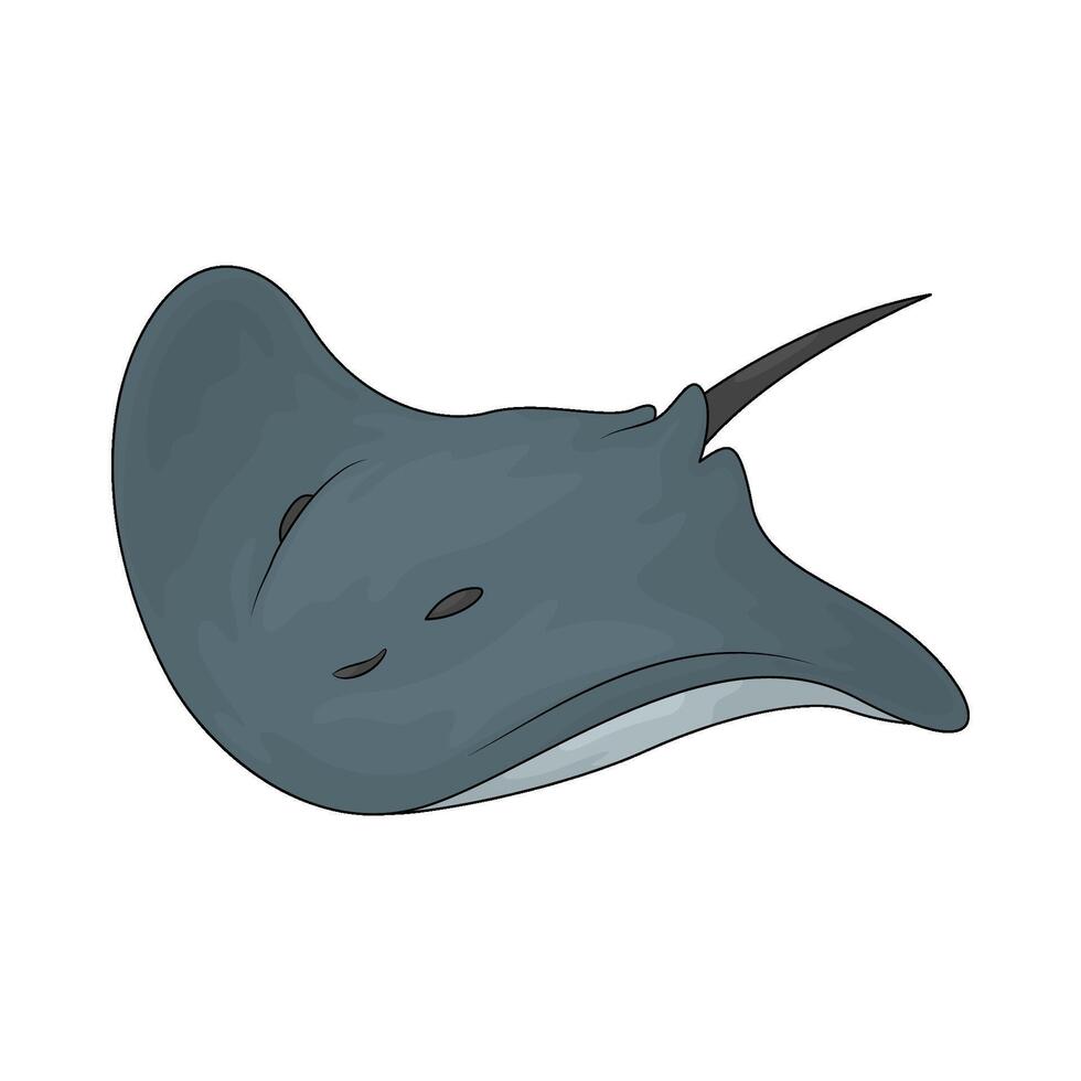 sea stingray illustration vector