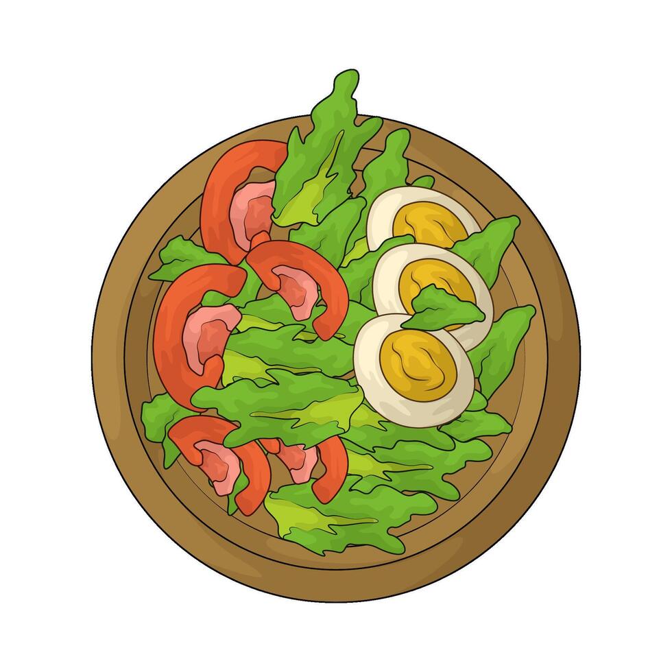 fresh salad bowl illustration vector