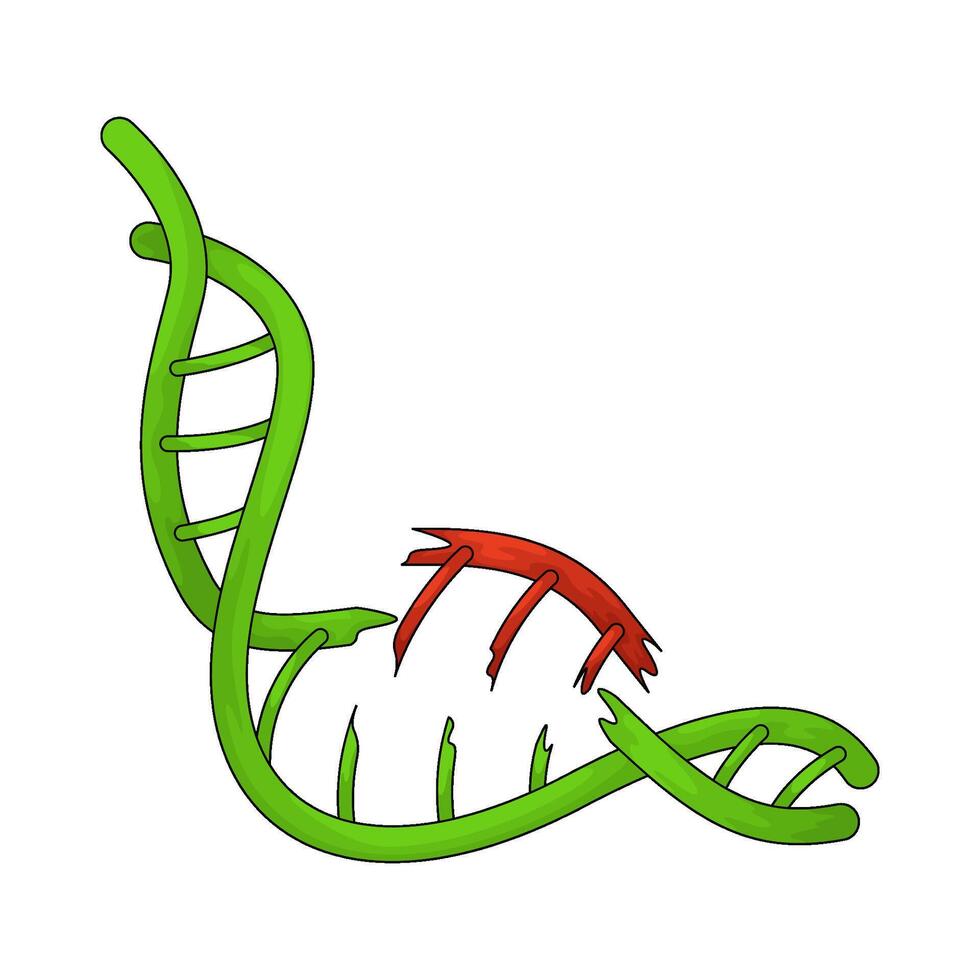 broken human dna vector