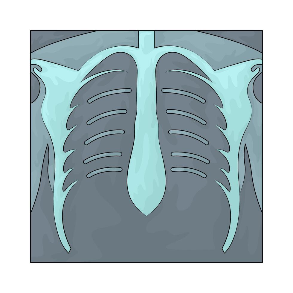 Health x-ray illustration vector