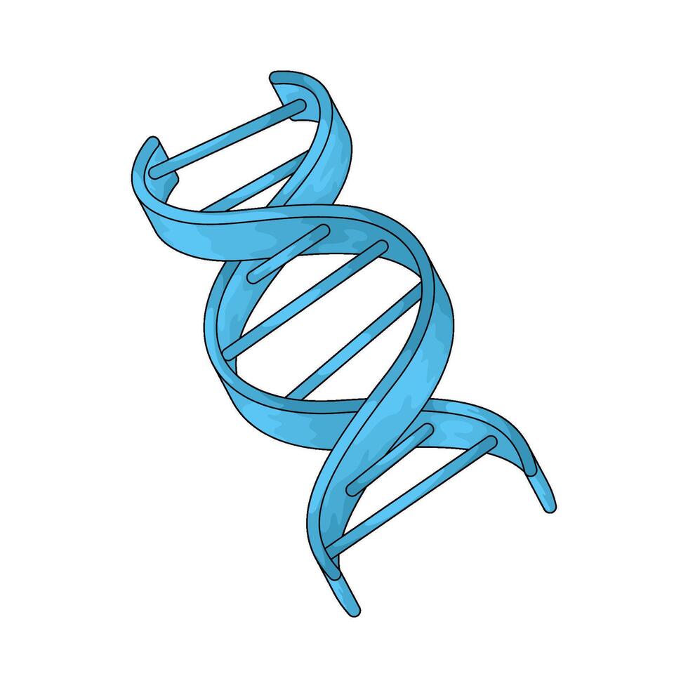 Health human dna vector