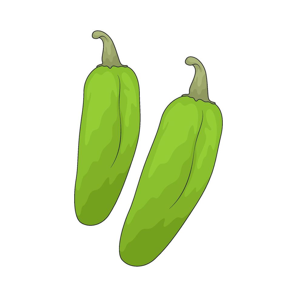 Vegetable named Jalapeno vector