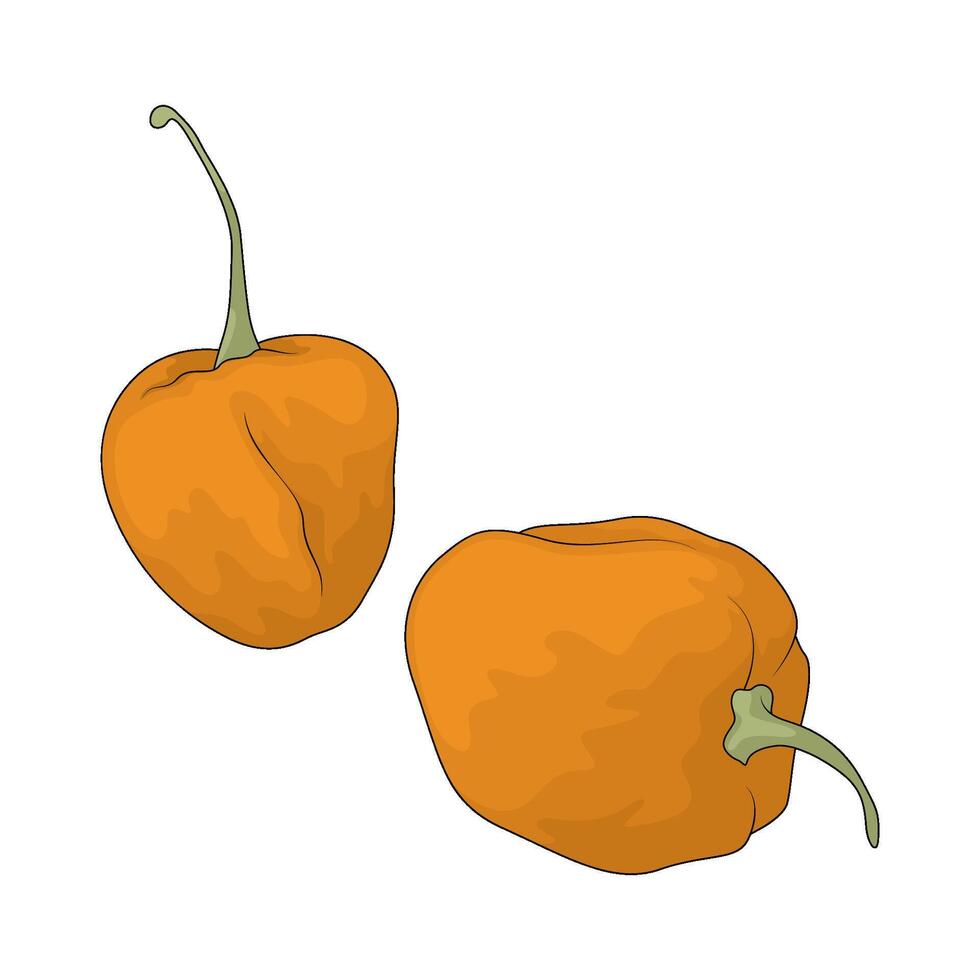 Vegetable named harbanero pepper vector