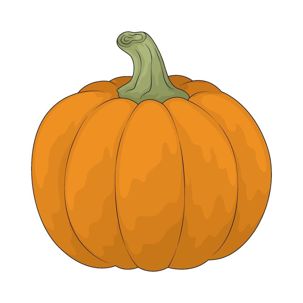 Vegetable named pumpkin vector