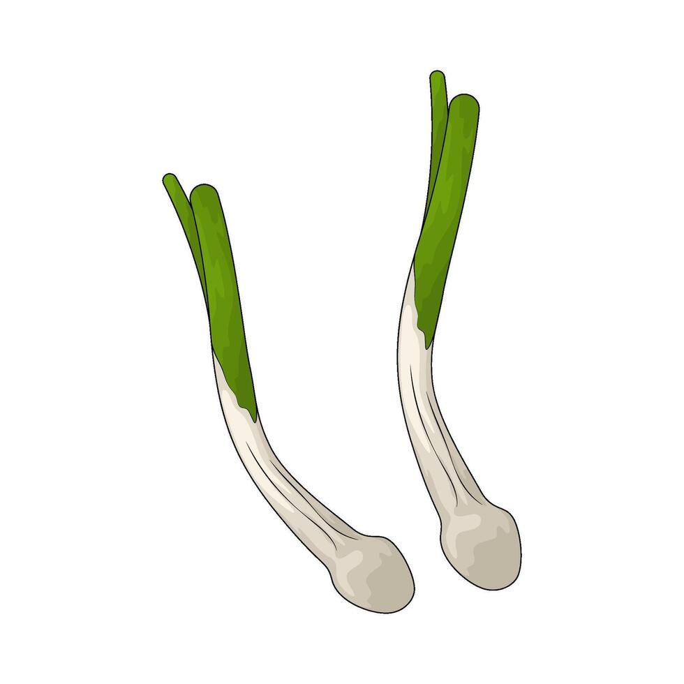 Vegetable named leek illustration vector