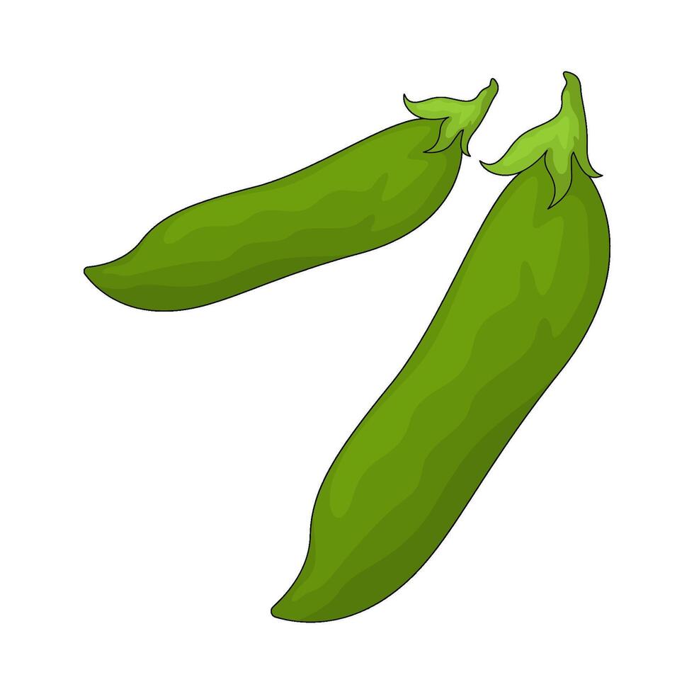 Vegetable named green beans vector