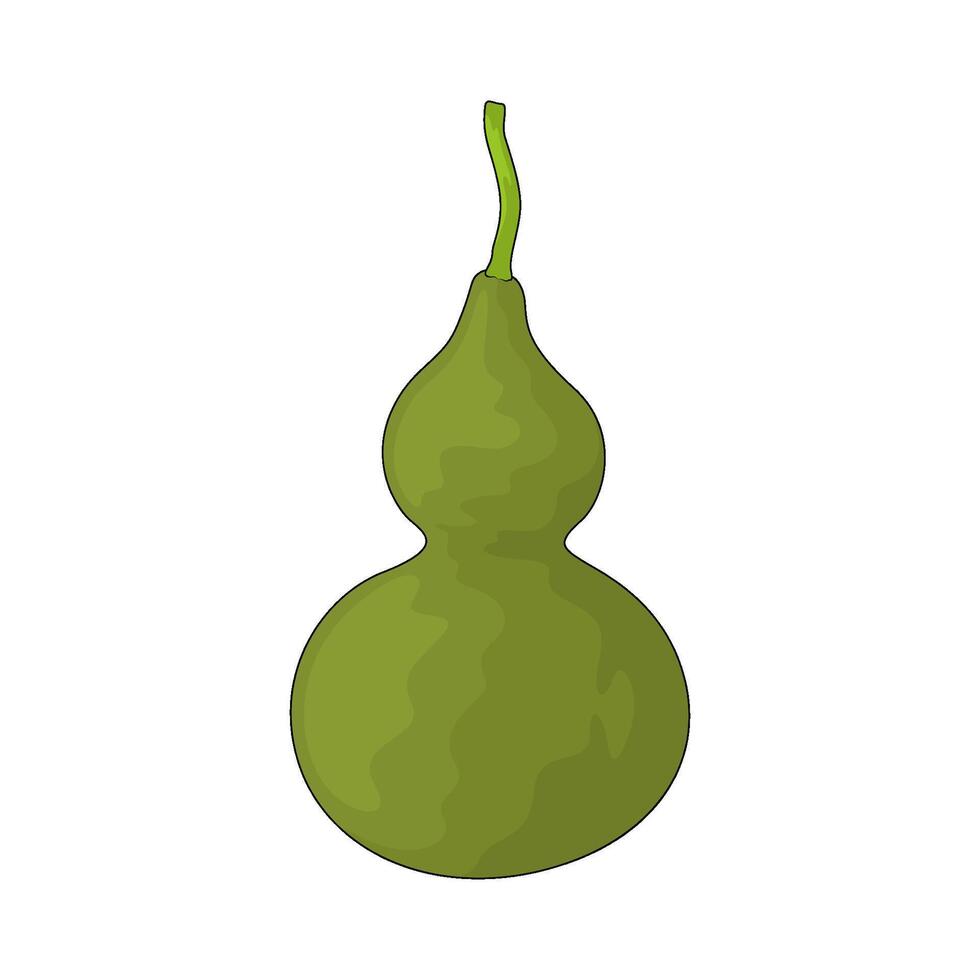 vegetable named bottle gourd vector
