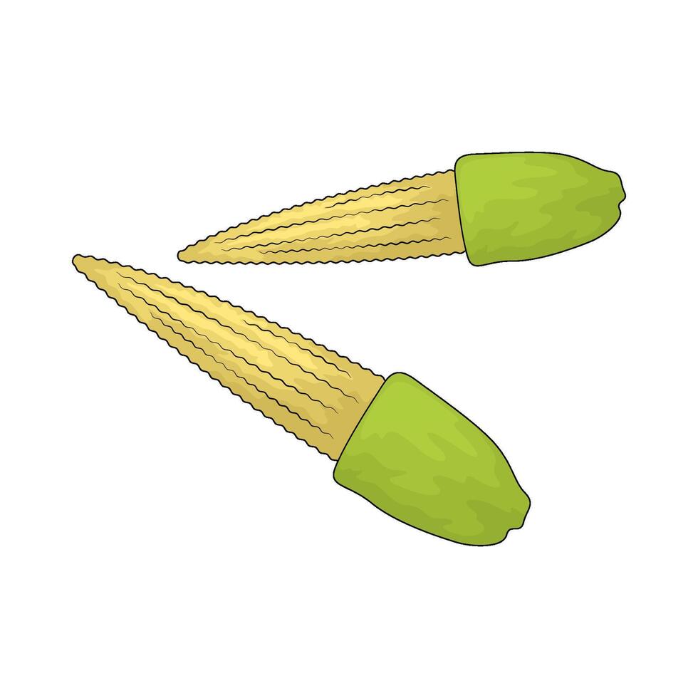 vegetable named baby corn vector