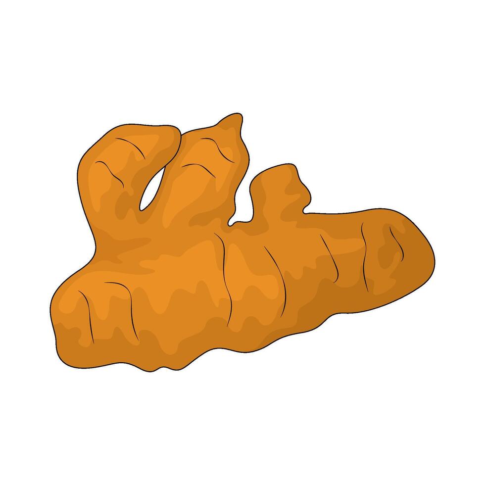 Vegetable named turmeric illustration vector