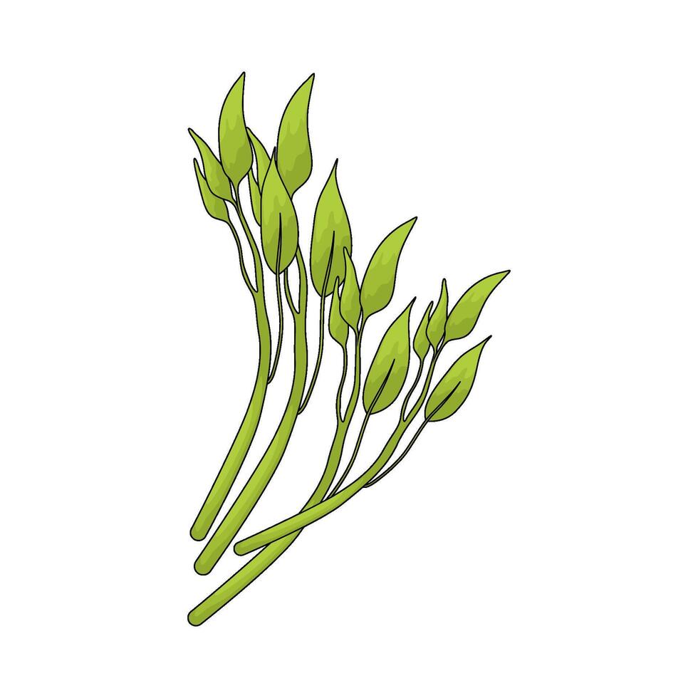 green leafy vegetables vector