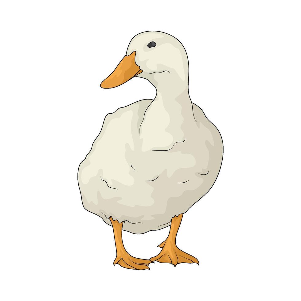 illustration of duck vector
