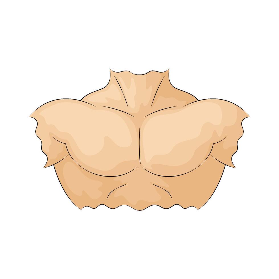burly man's chest vector