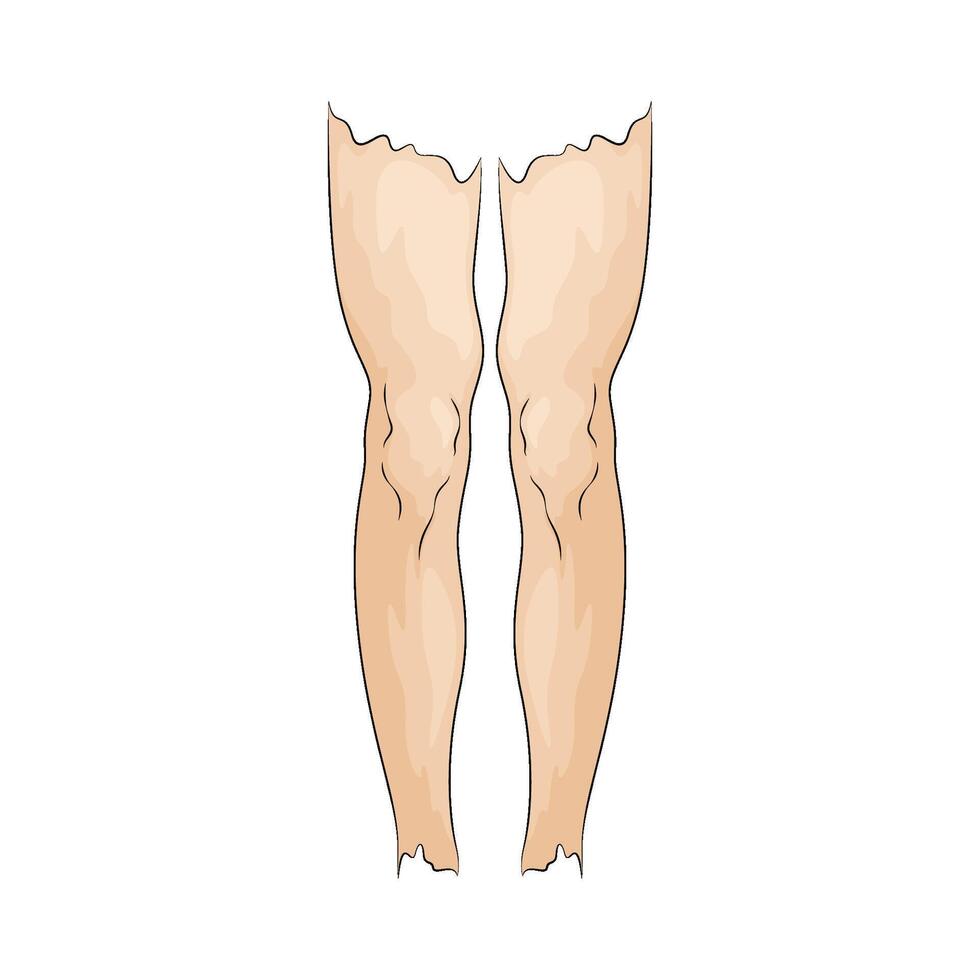 men's leg illustration vector