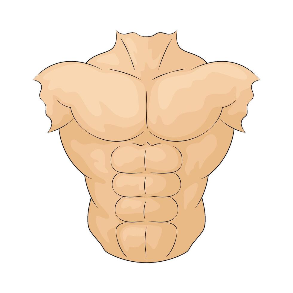 illustration of burly man's chest vector