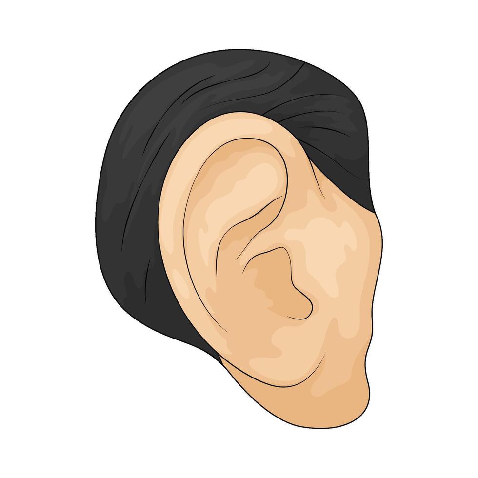 illustration of a Human ear vector