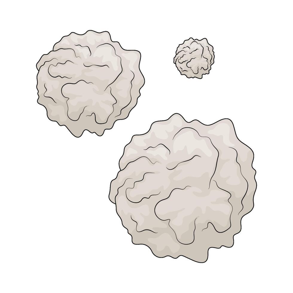 white blood cells vector