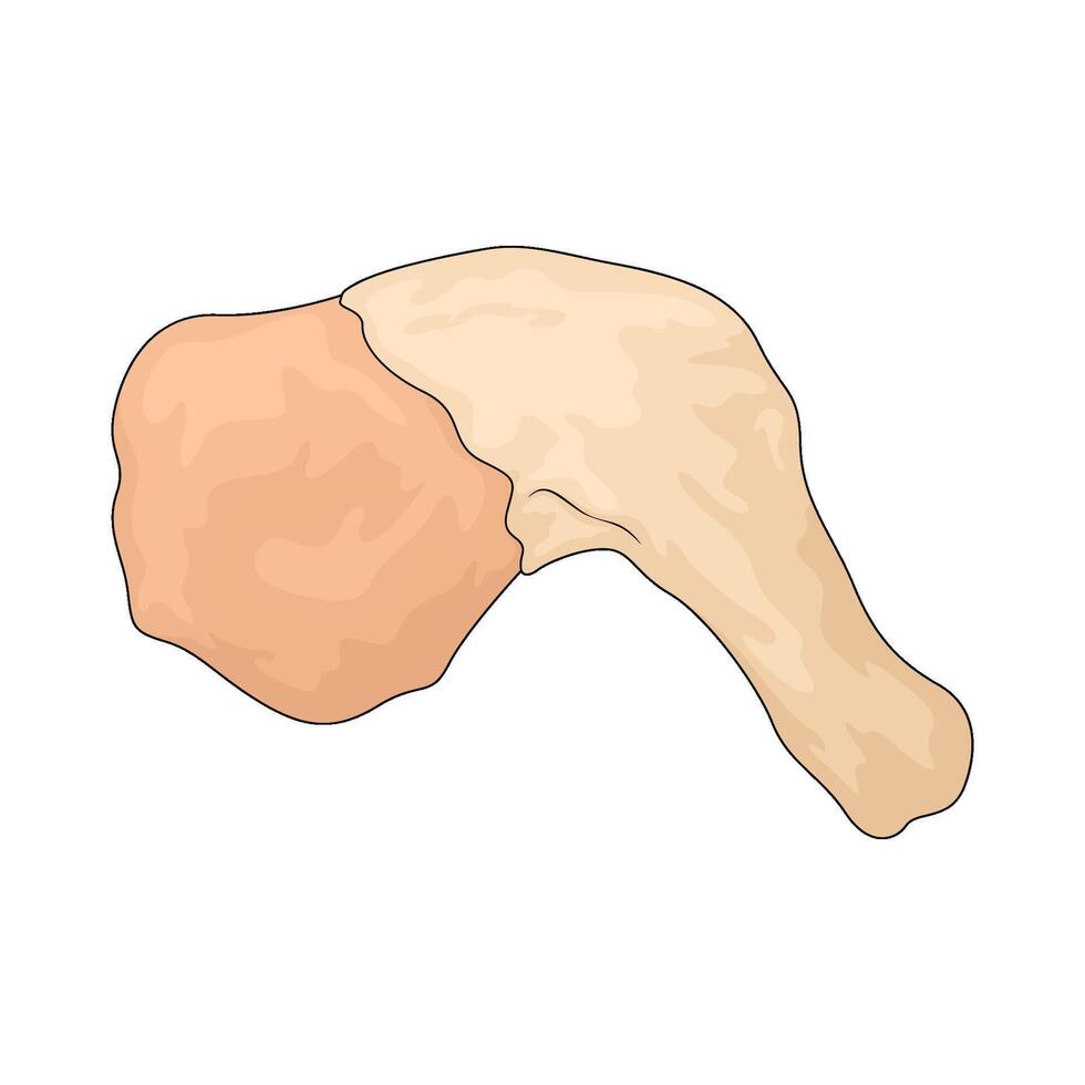 raw chicken thigh vector