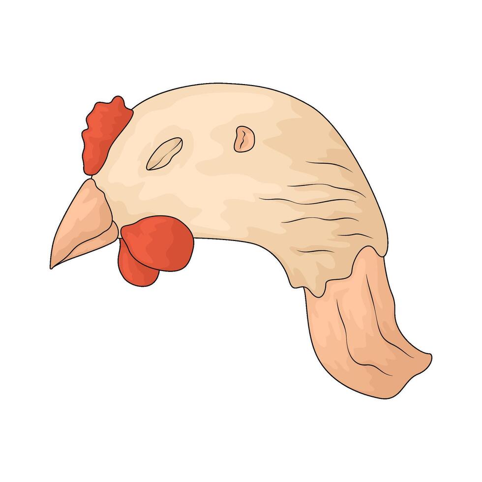 raw chicken head vector