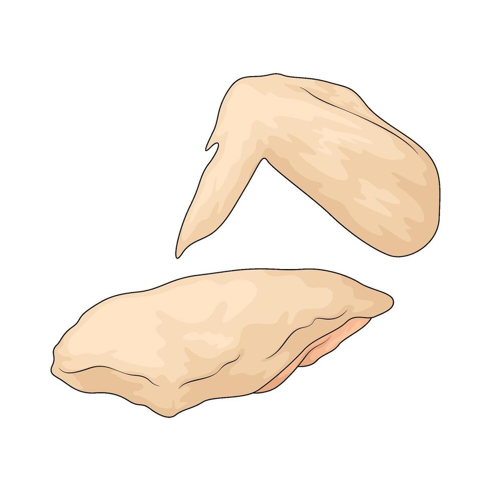 raw chicken wings vector