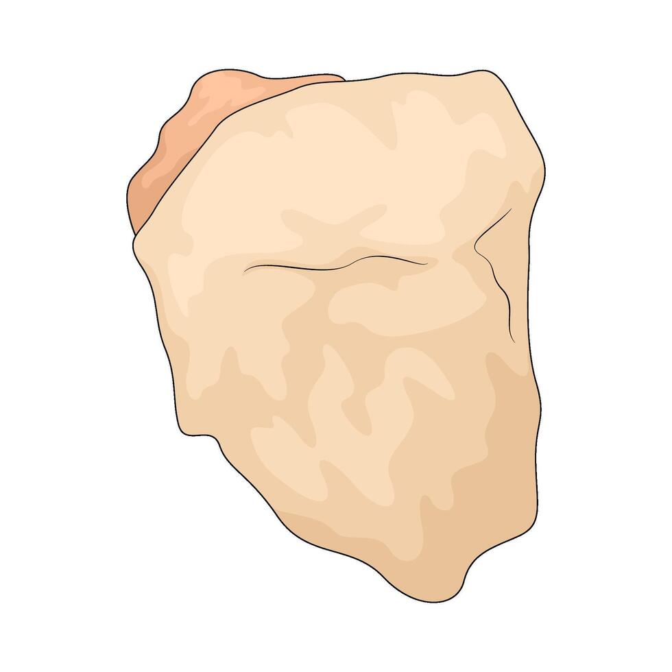 raw chicken illustration vector