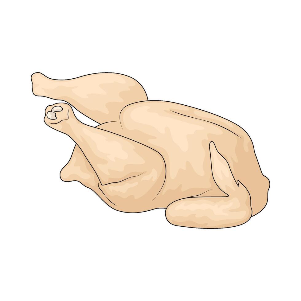 raw whole chicken vector