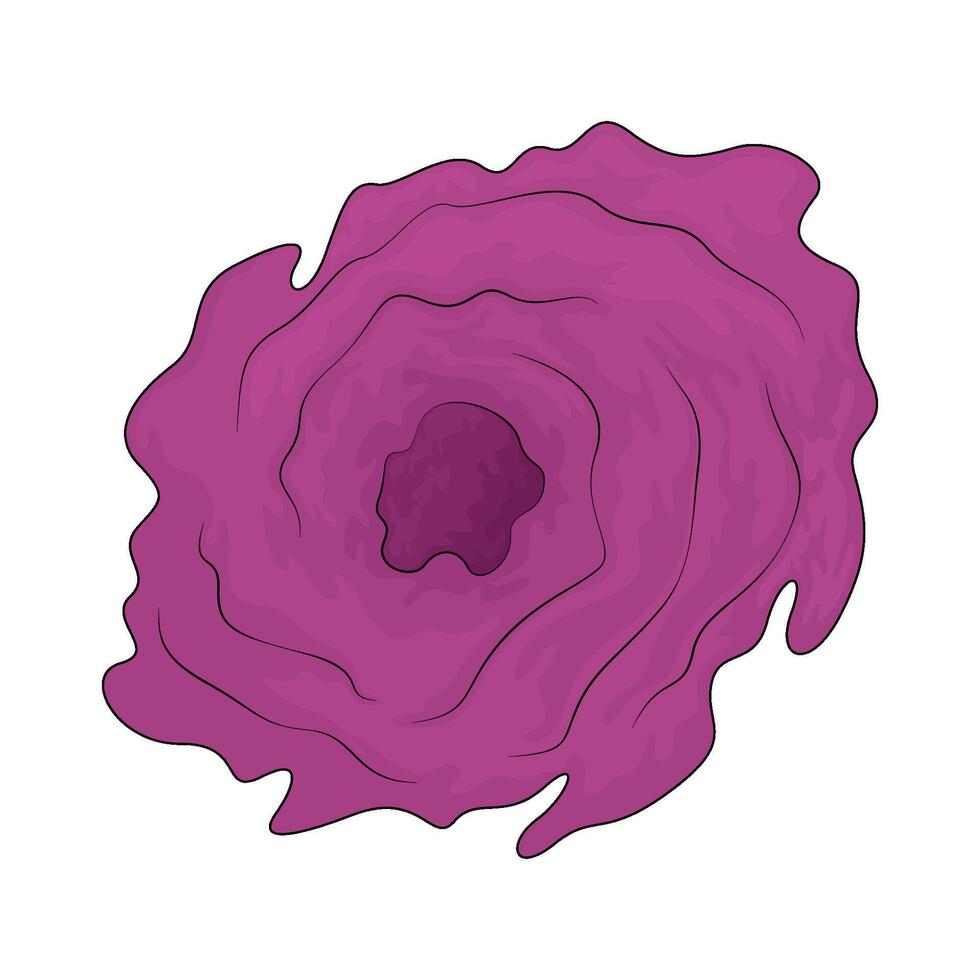 the space hole vector
