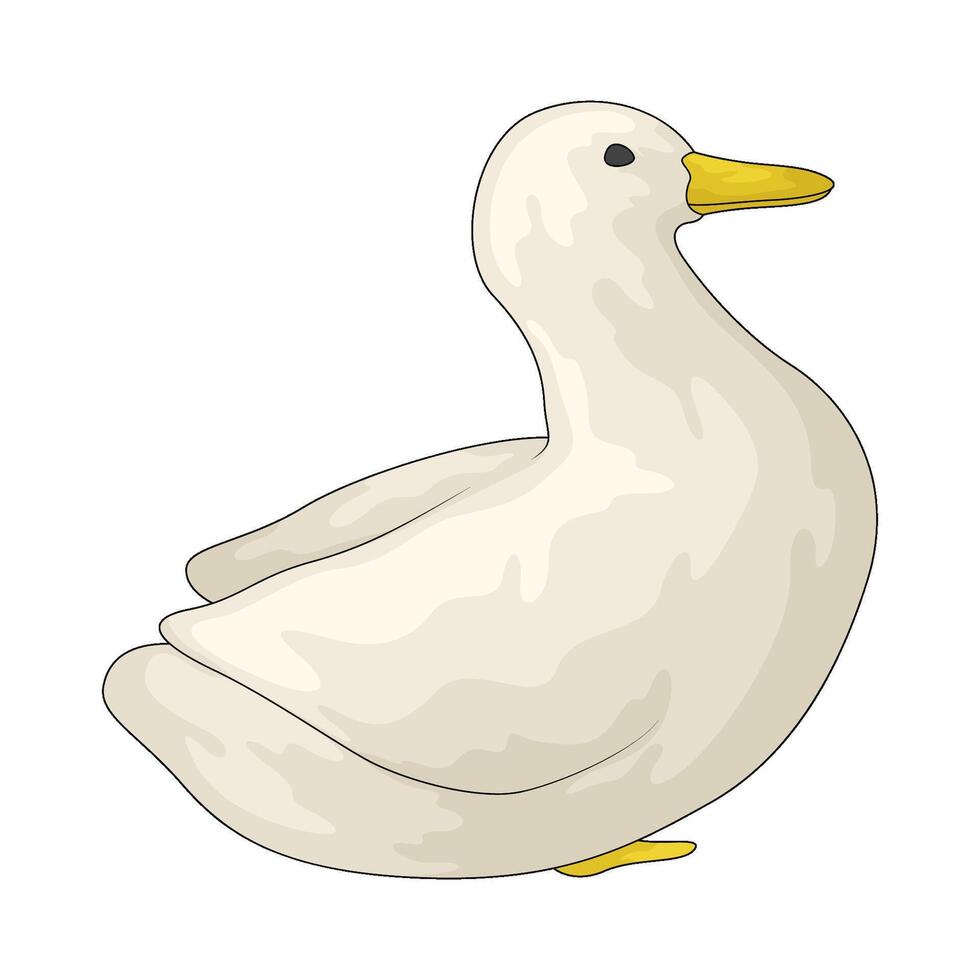 Duck Stuffed Animals vector