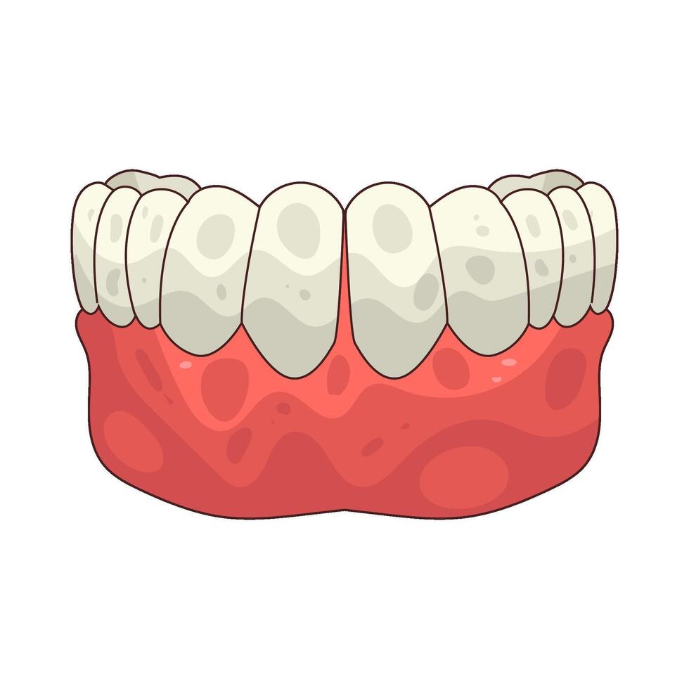 illustration of full dentures vector