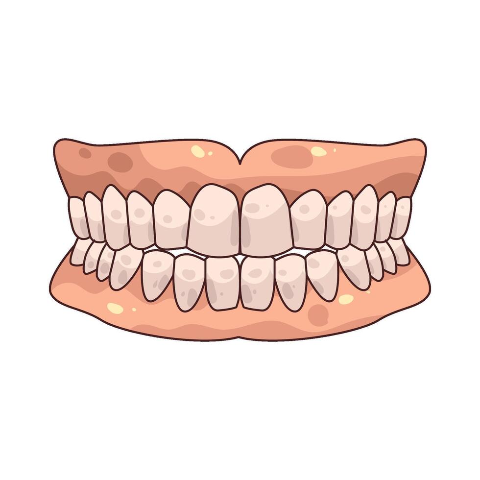 illustration of dentures vector