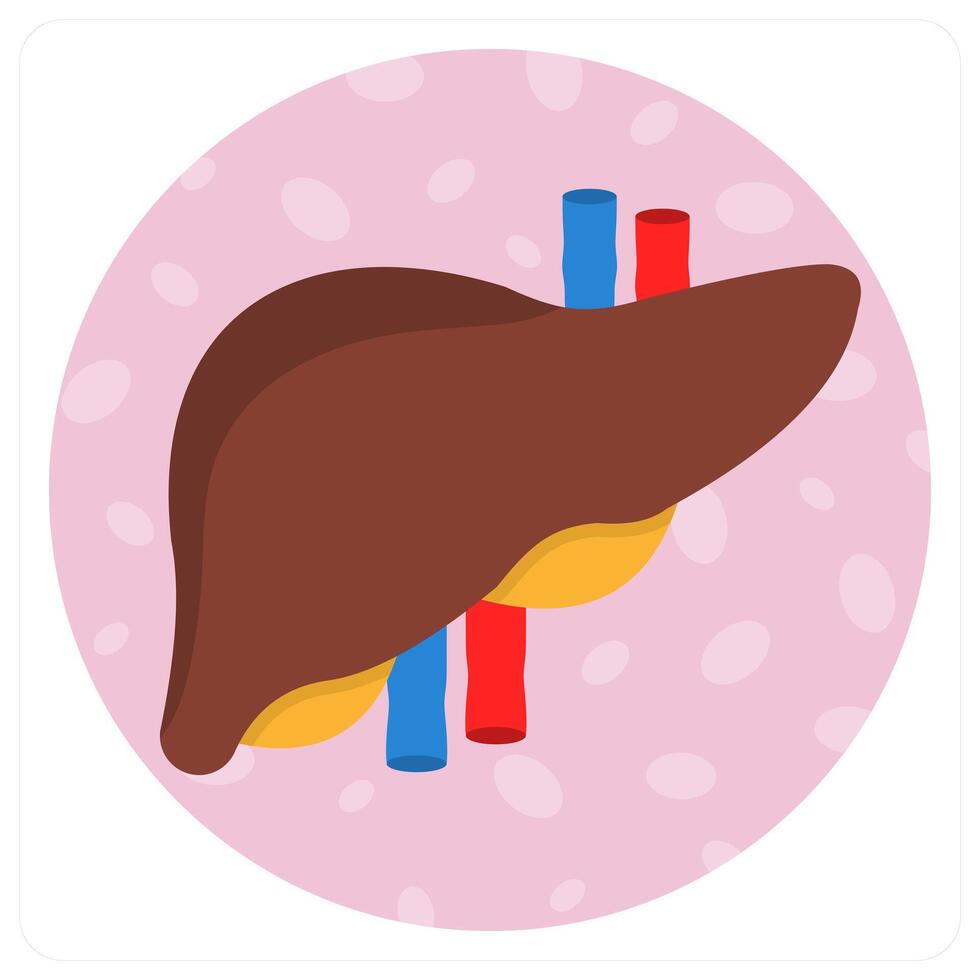 Liver and health icon concept vector