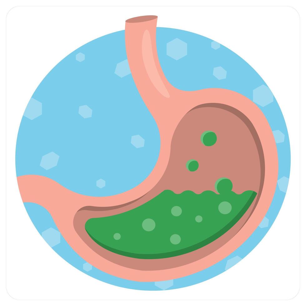Stomach and digestive icon concept vector
