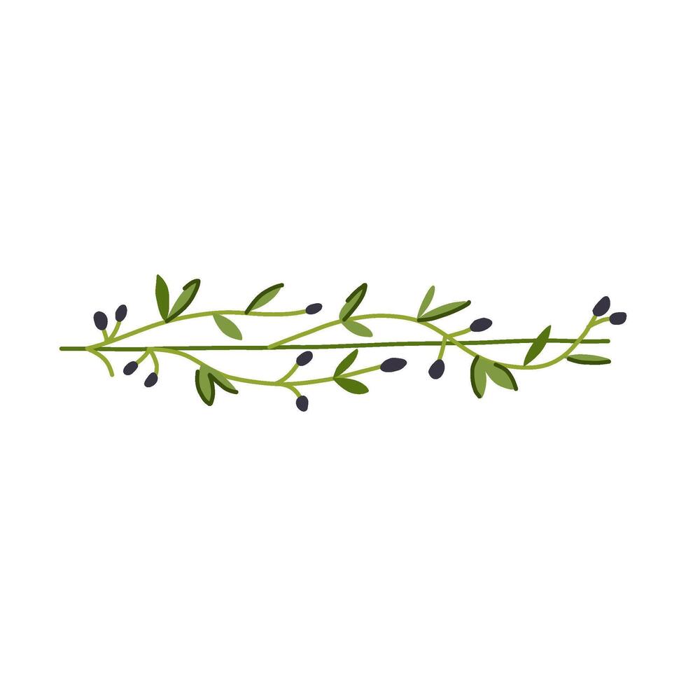 graphic olive border divider cartoon illustration vector