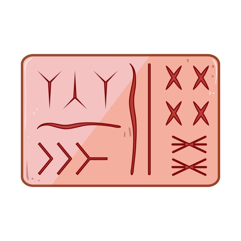 medical suture practice pad cartoon illustration vector