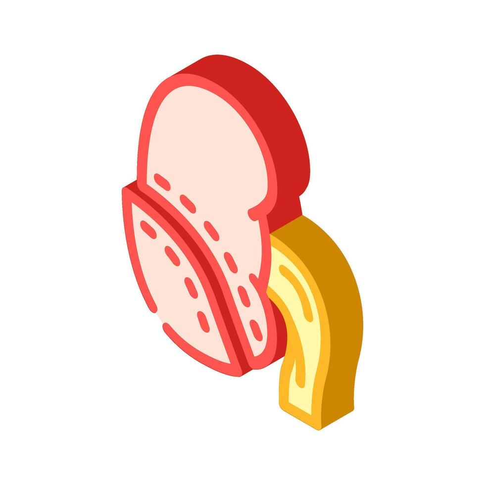 nephrectomy urology isometric icon illustration vector