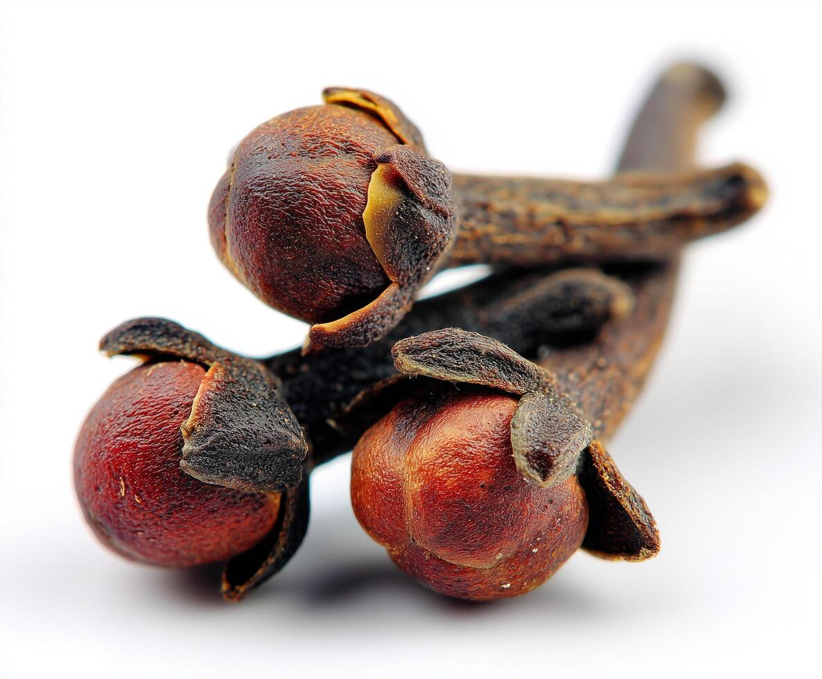 Clove on isolate white background photo