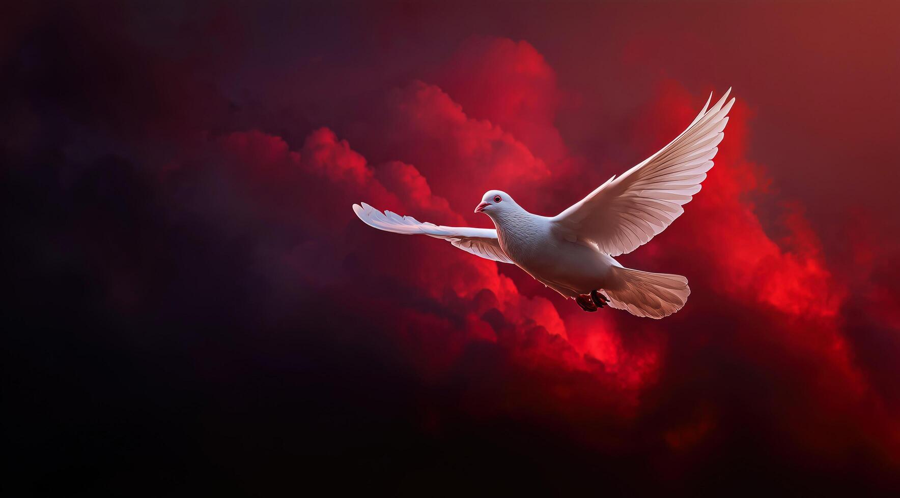 A white dove soars against a dramatic crimson sky, symbolizing peace and freedom. photo