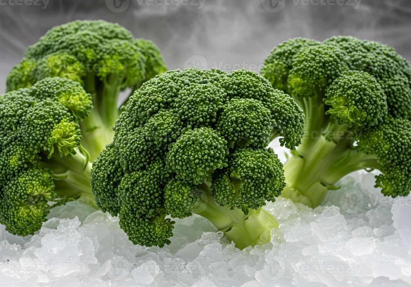 Fresh Broccoli on Freezer. photo