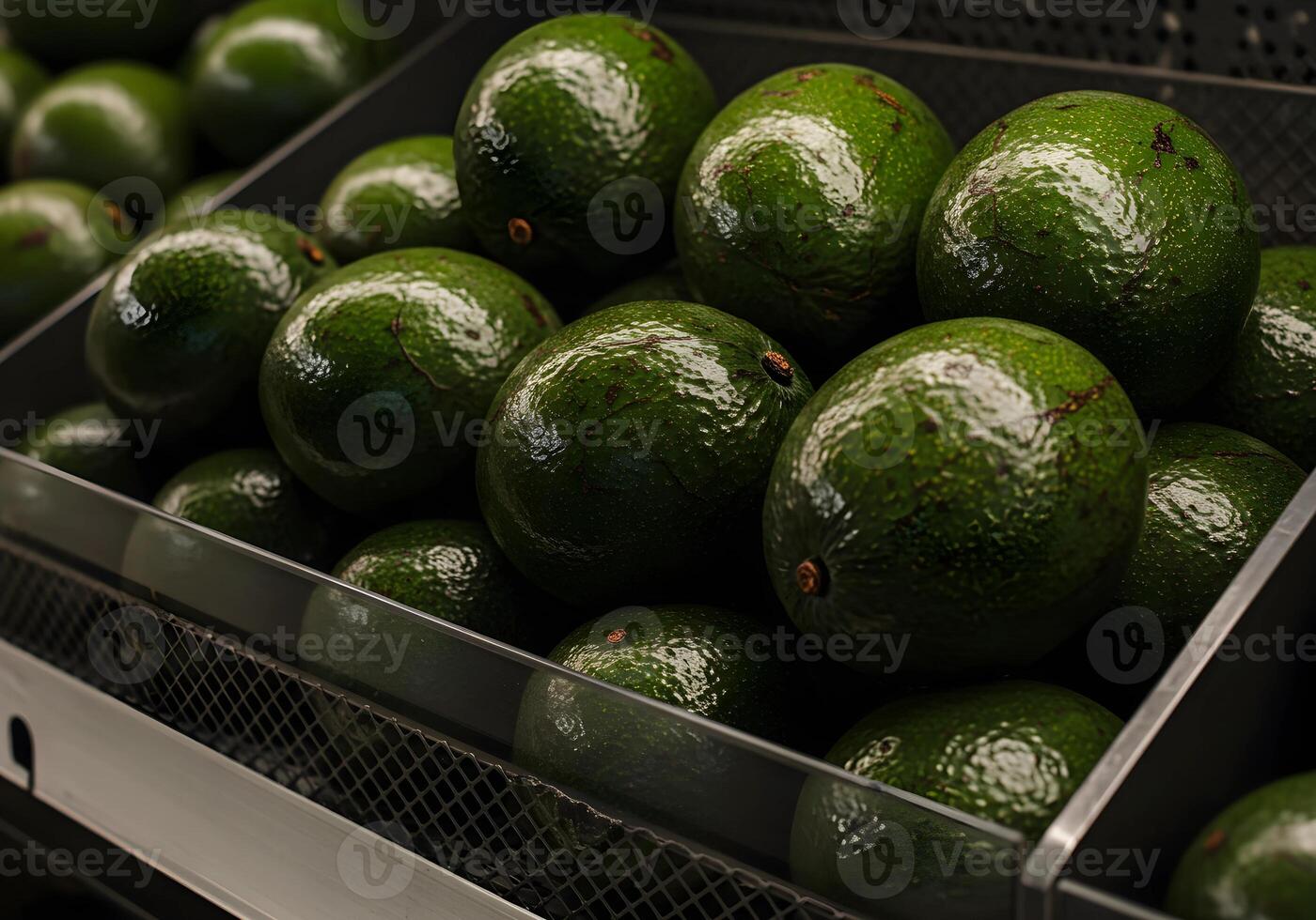Fresh Avocado in Metal Container photo