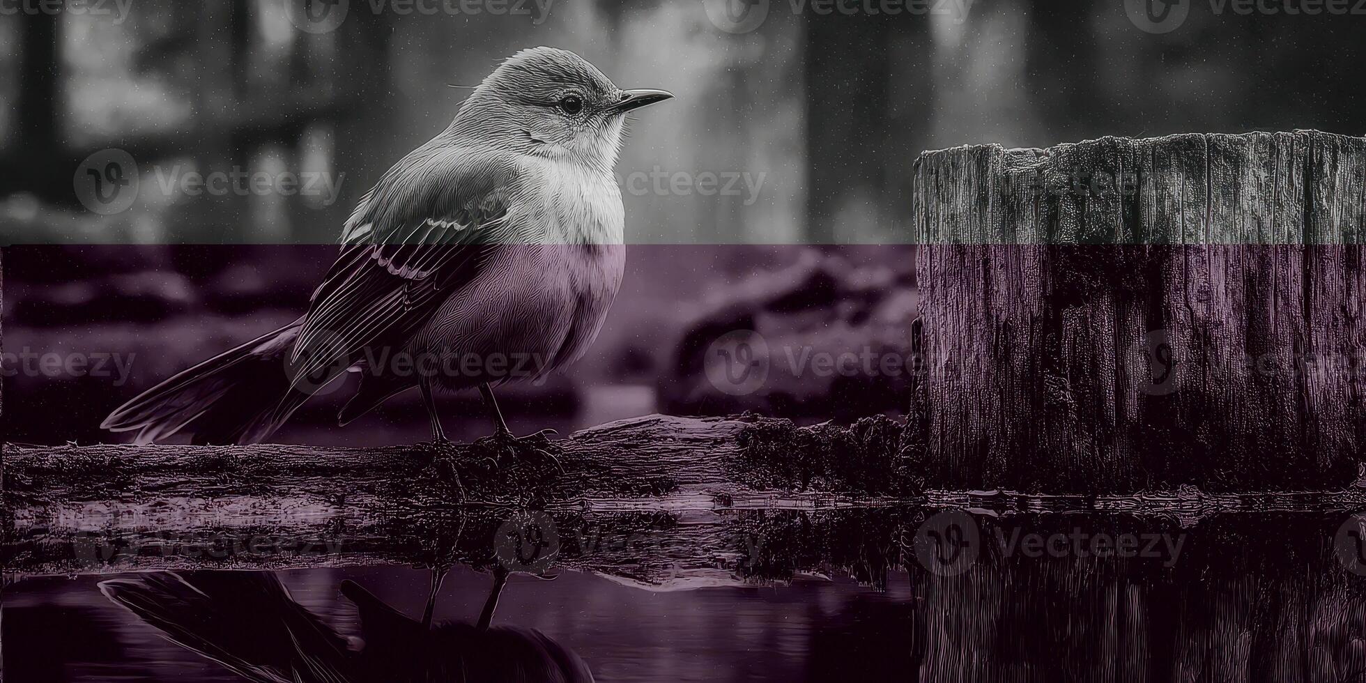 Bird perched on a log near water in a forest during a calm and misty morning photo