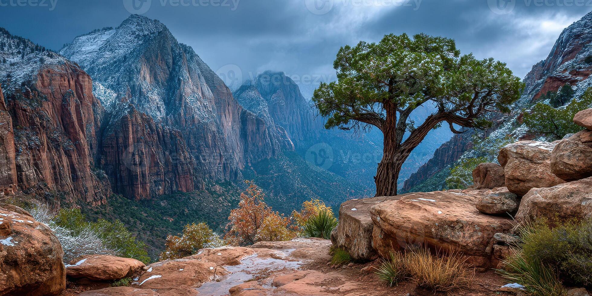 Snow-capped mountains and a resilient tree in a rocky landscape under a cloudy sky at Zion National Park photo