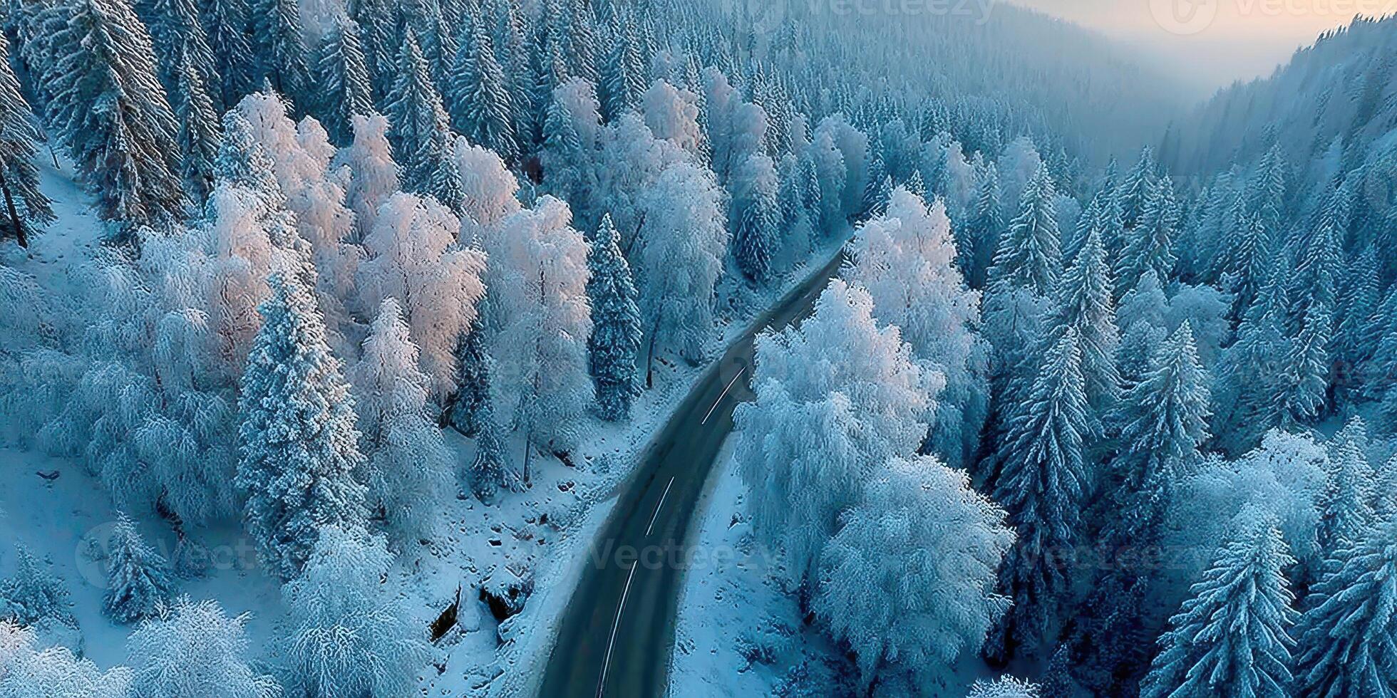 Snow-covered trees line a winding road in a serene winter landscape at dawn in the mountains photo