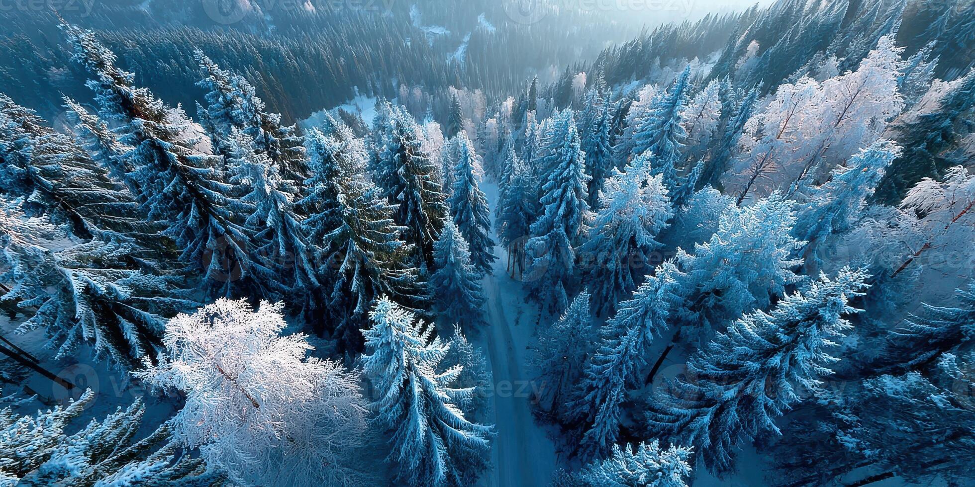 Snowy winter landscape viewed from above with frosted trees and a winding path through the forest in early morning light photo
