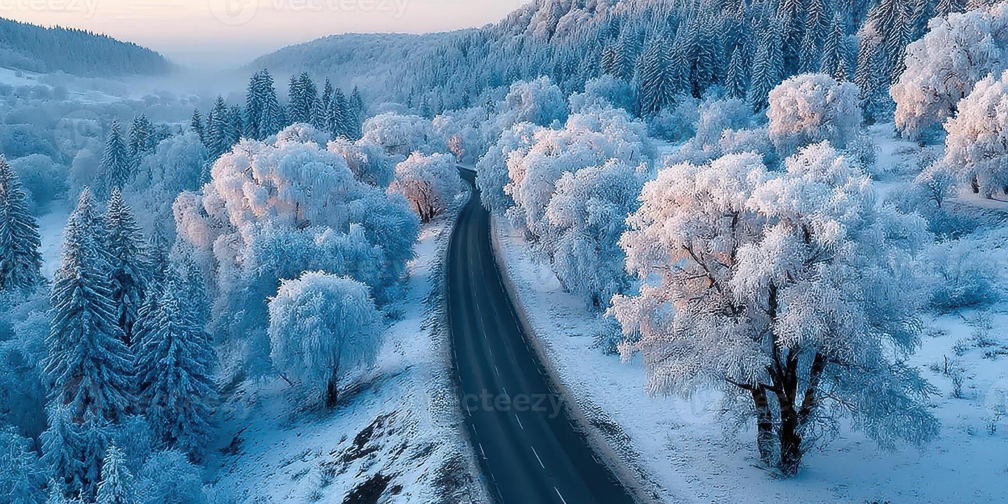 Winter landscape with snow-covered trees and winding road in frosty morning light photo