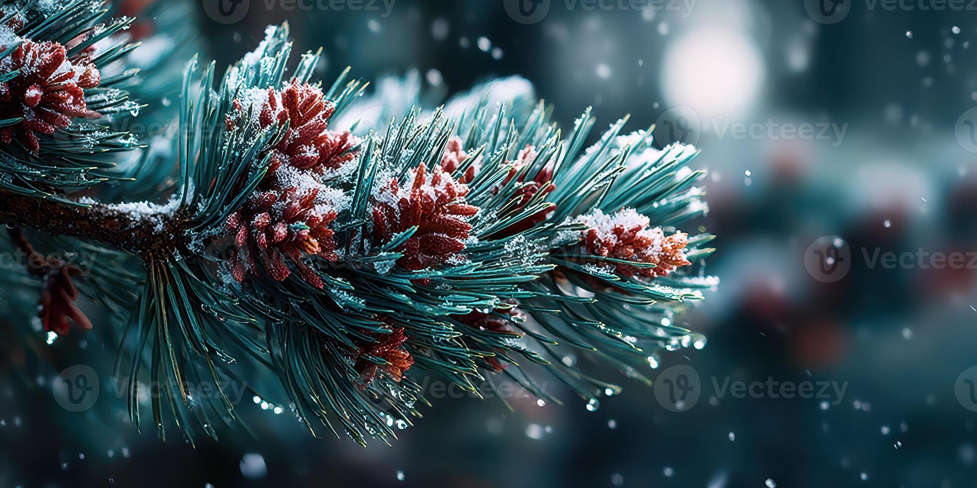 Frost-covered pine branches with vibrant red cones in a snowy forest setting during winter photo