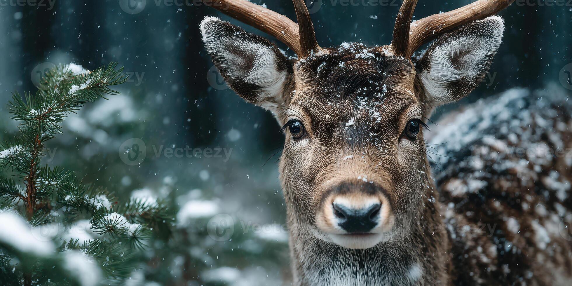 Snowfall creates a serene atmosphere as a deer stands in a forest during winter photo