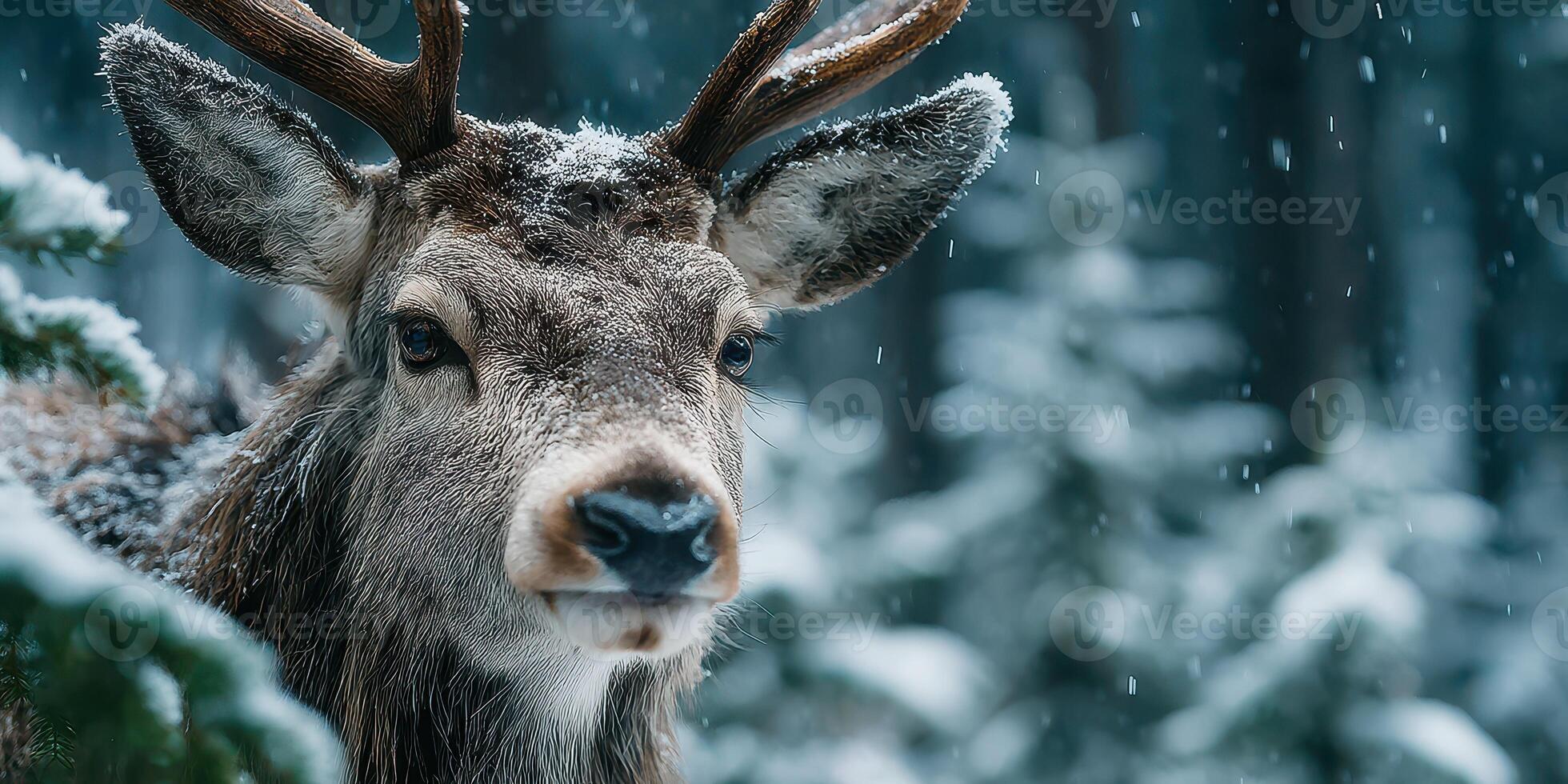 Majestic deer stands in a snow-covered forest during a winter snowfall creating a serene and tranquil atmosphere photo