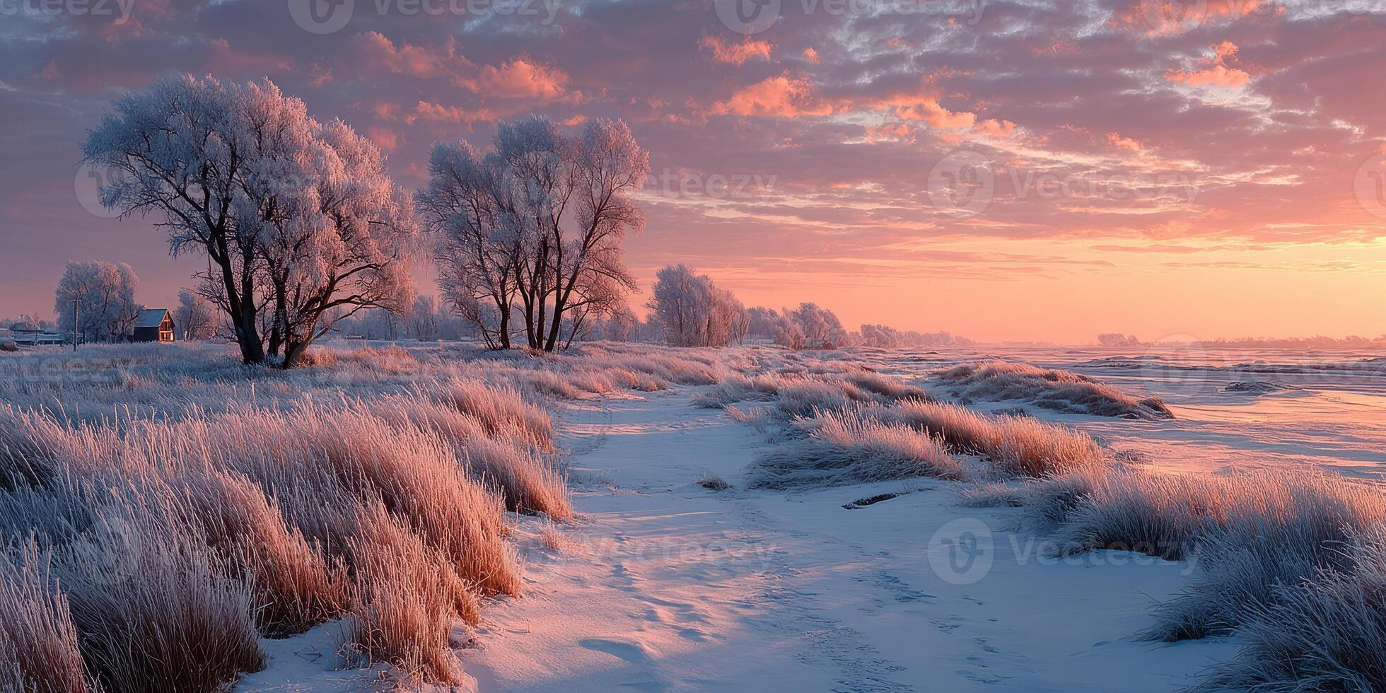 Winter landscape at dawn with frost-covered trees and soft sunlight illuminating the snowy terrain photo