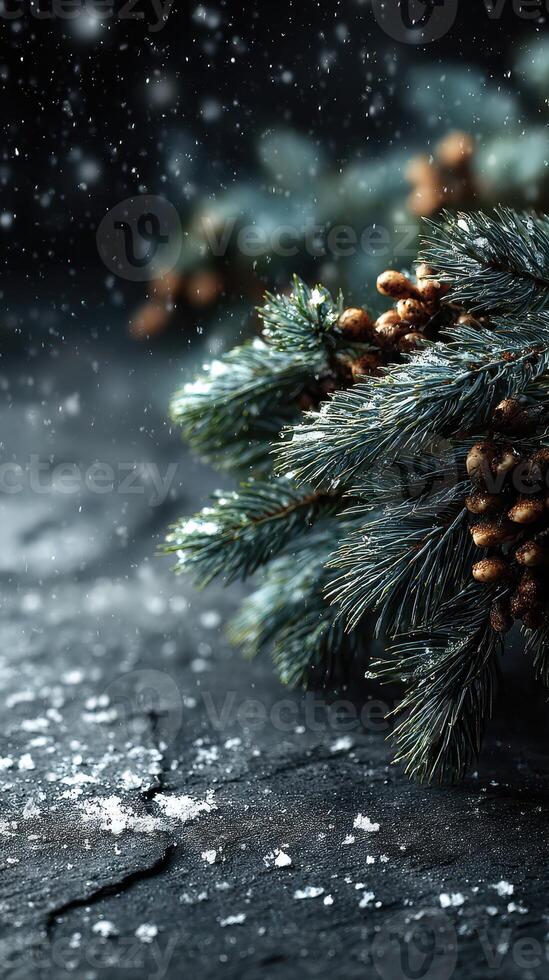 Winter pine branches adorned with snow and pine cones create a tranquil atmosphere for the holiday season photo