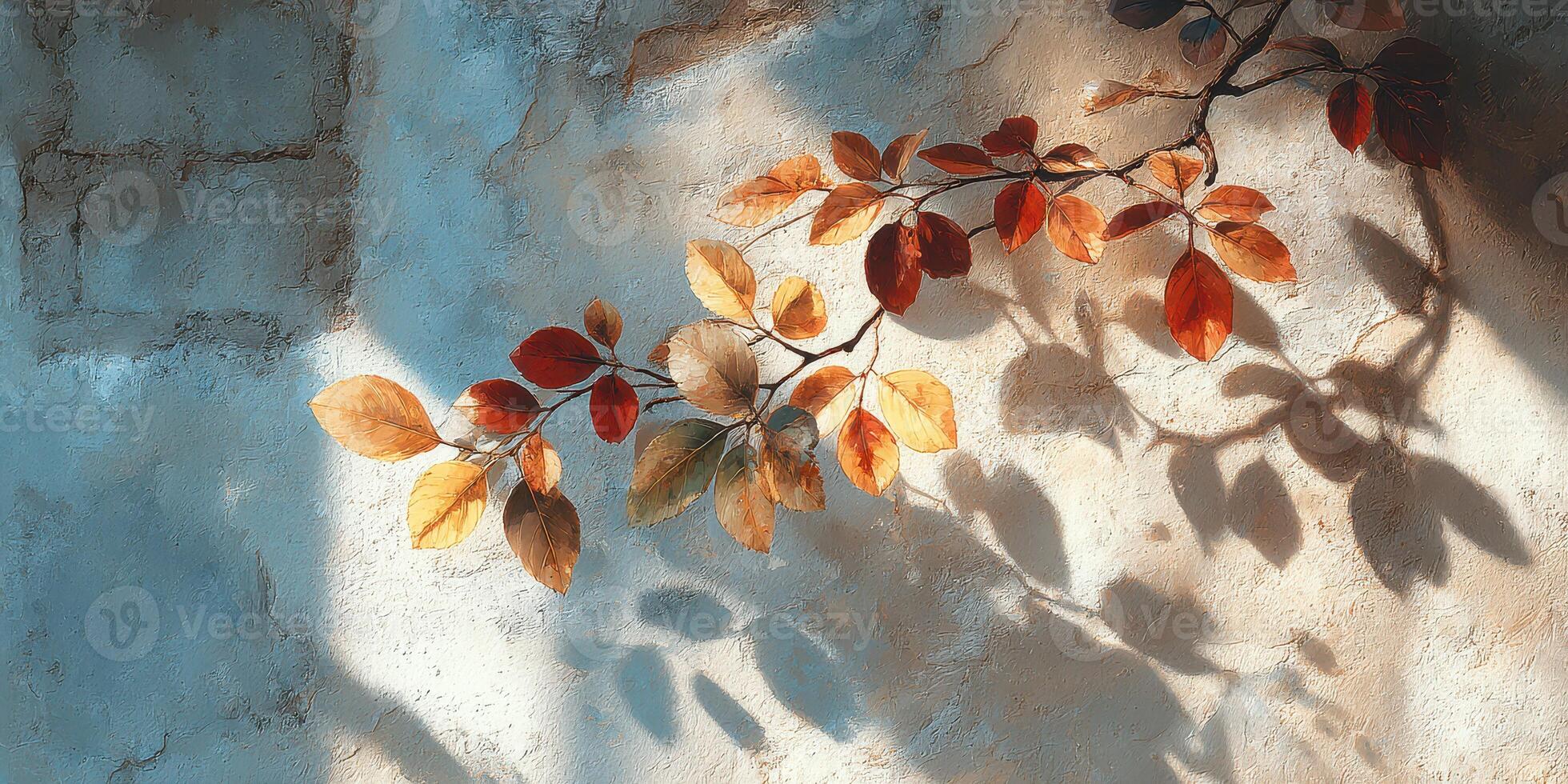 Autumn leaves casting shadows on a textured wall in soft afternoon light photo
